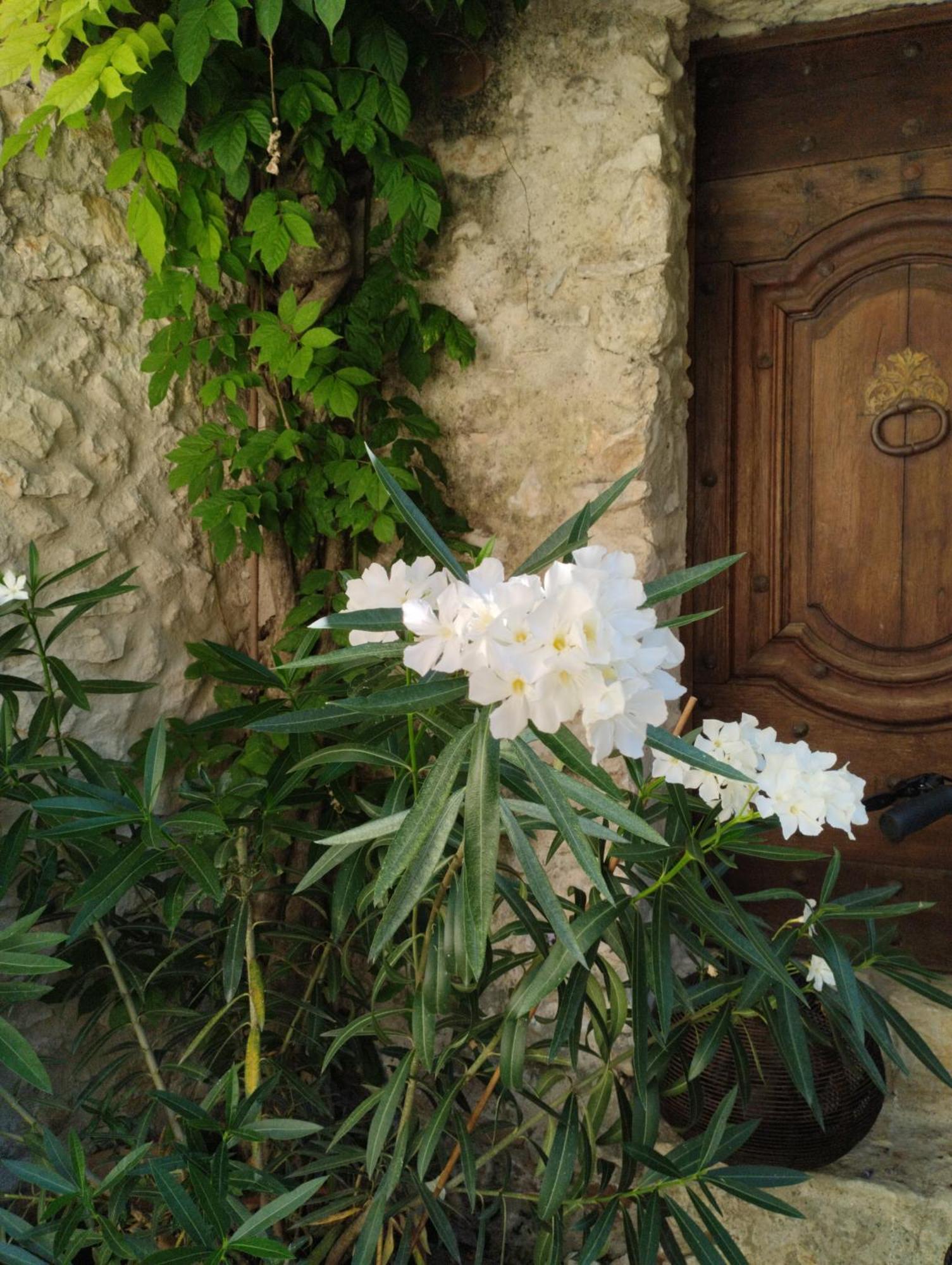 Chez Les Filles Bed & Breakfast Dions Exterior photo